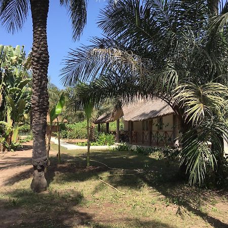 Les Maisons De Marco Senegal - B&B Cap Skirring Dış mekan fotoğraf