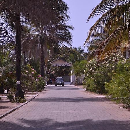 Les Maisons De Marco Senegal - B&B Cap Skirring Dış mekan fotoğraf