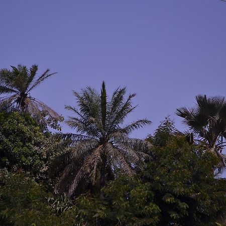 Les Maisons De Marco Senegal - B&B Cap Skirring Dış mekan fotoğraf