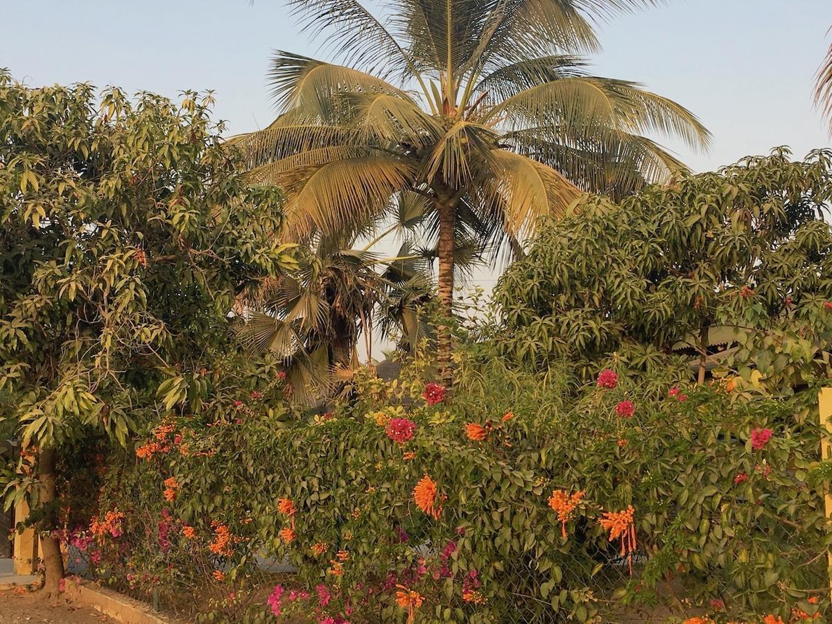 Les Maisons De Marco Senegal - B&B Cap Skirring Dış mekan fotoğraf