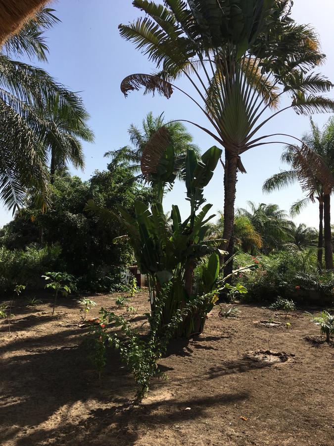 Les Maisons De Marco Senegal - B&B Cap Skirring Dış mekan fotoğraf