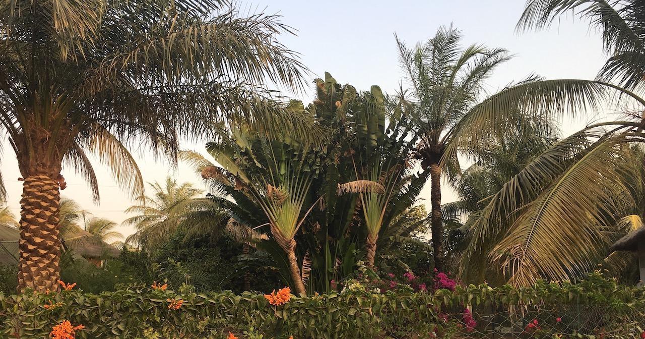 Les Maisons De Marco Senegal - B&B Cap Skirring Dış mekan fotoğraf