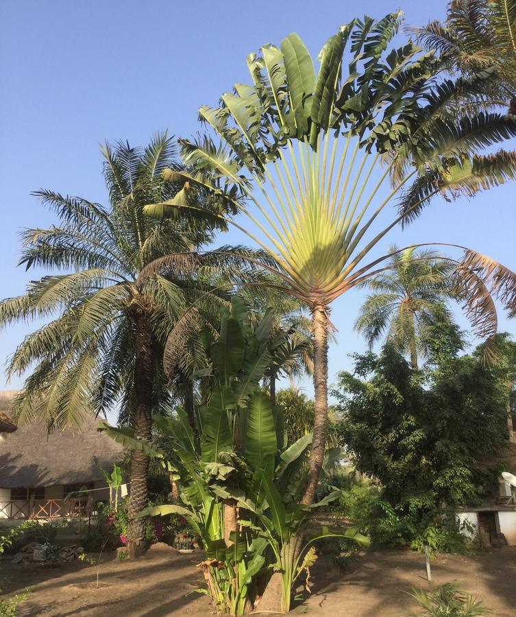 Les Maisons De Marco Senegal - B&B Cap Skirring Dış mekan fotoğraf