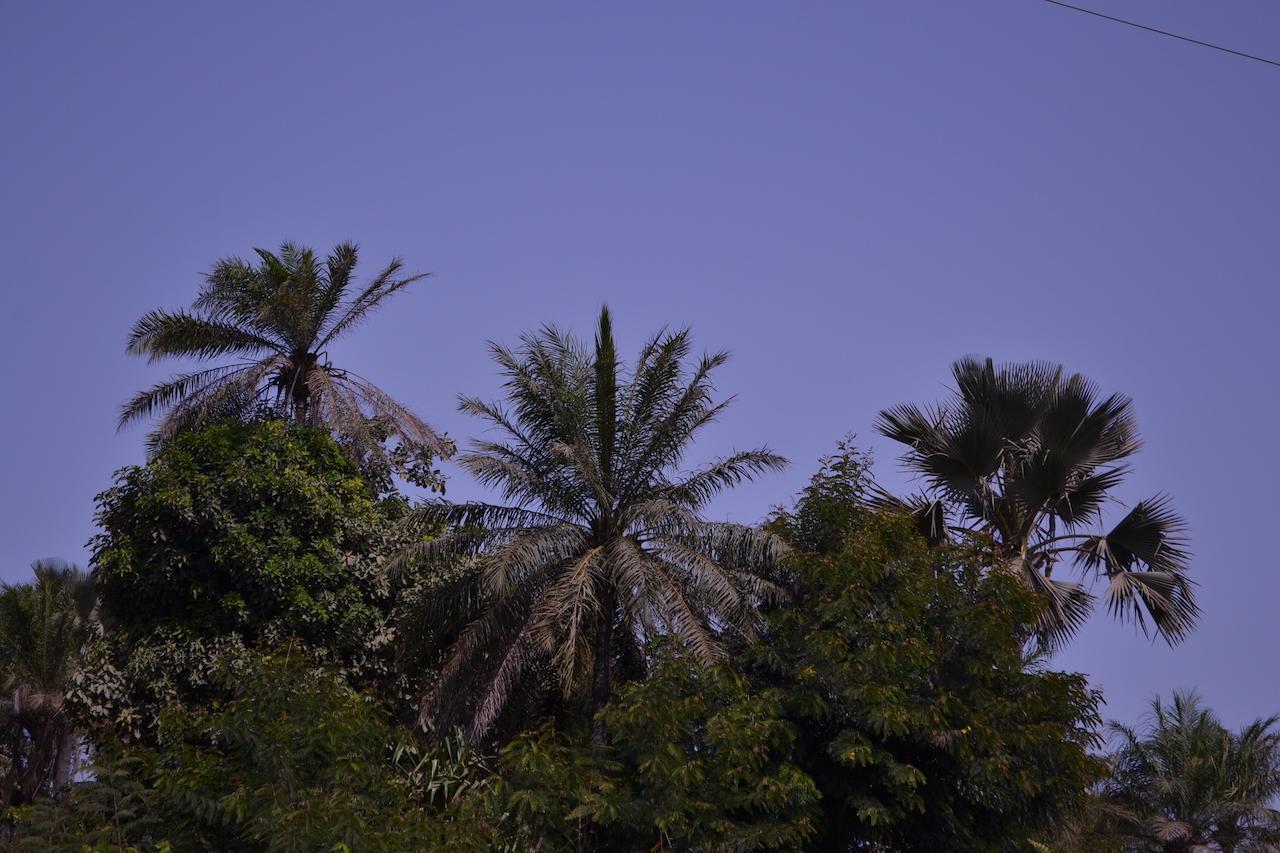 Les Maisons De Marco Senegal - B&B Cap Skirring Dış mekan fotoğraf