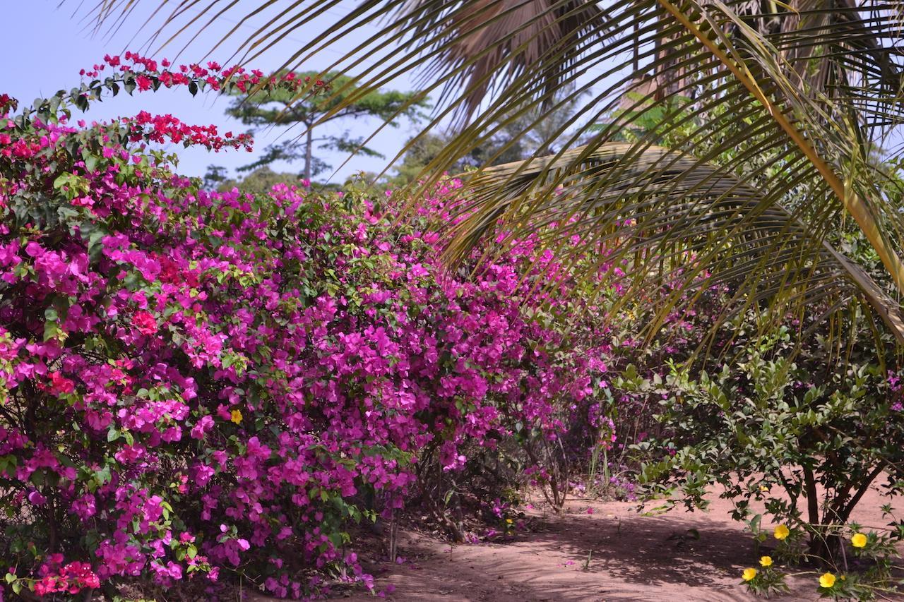 Les Maisons De Marco Senegal - B&B Cap Skirring Dış mekan fotoğraf