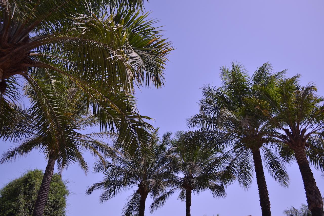 Les Maisons De Marco Senegal - B&B Cap Skirring Dış mekan fotoğraf